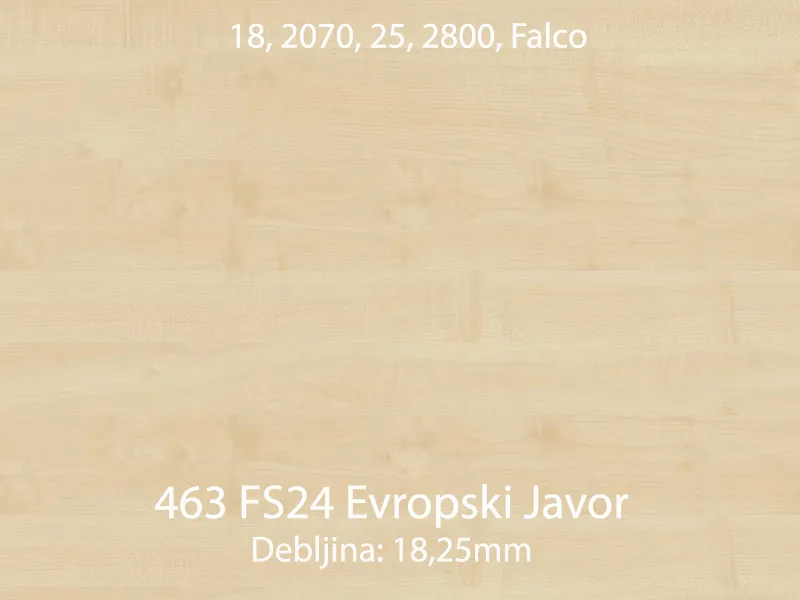 463 fs24 evropski javor jpg 1